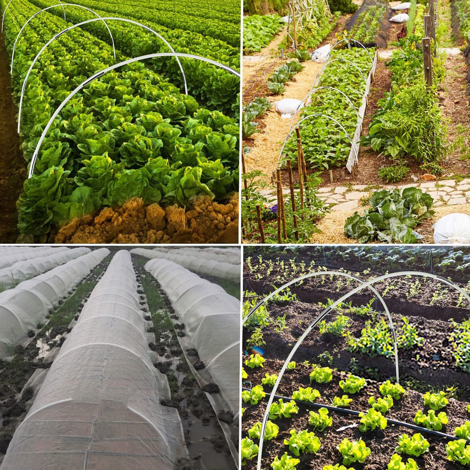 Arches de serre, supports pour plantes, supports horticoles,structures d'arches de soutien, arches de jardin, tiges en fibre,idéales plantes-ZAEWRY - 4