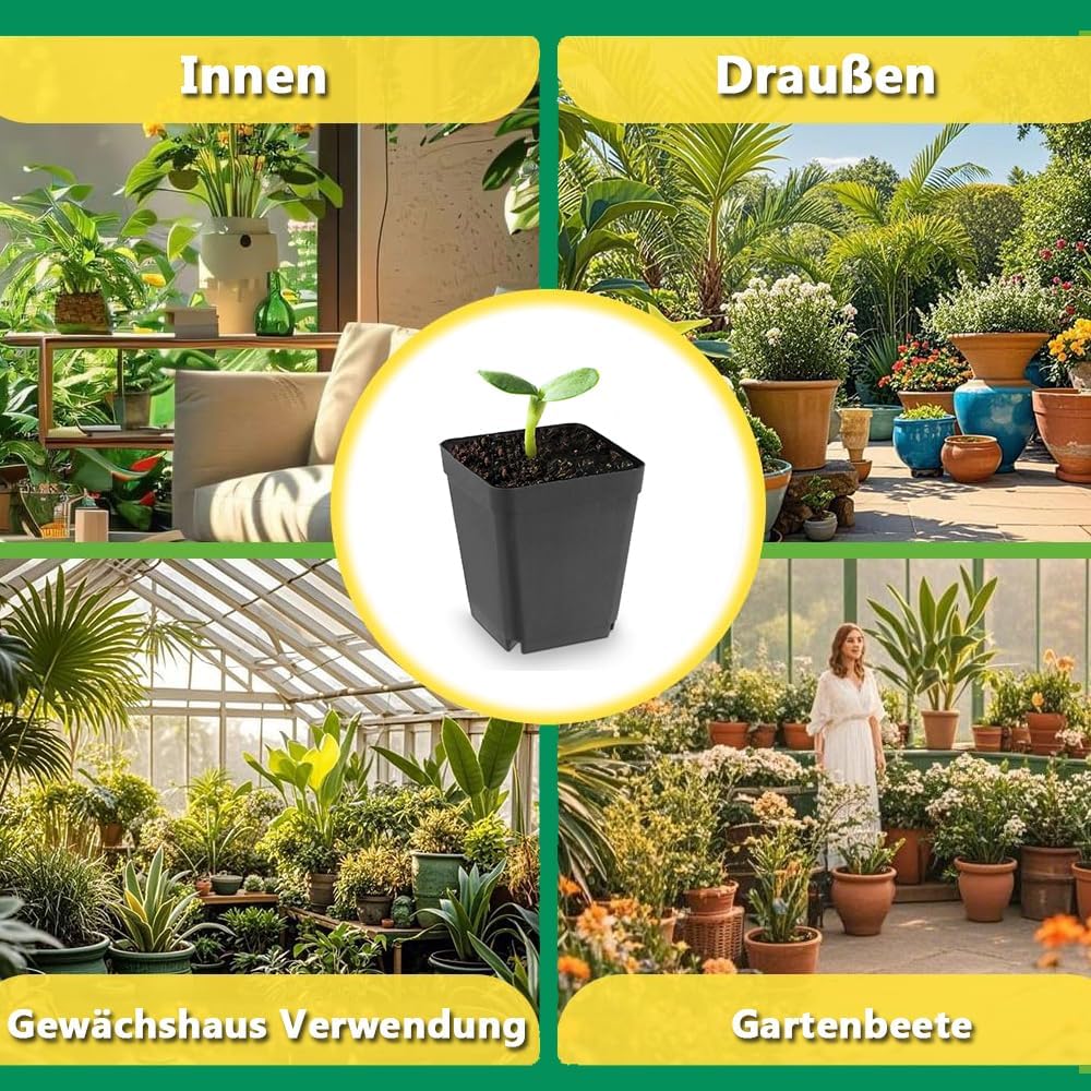 Lot de 50 pots de fleurs carrés en plastique noir de 5,5 cm pour plantes succulentes, semis, boutures, repiquage - 6