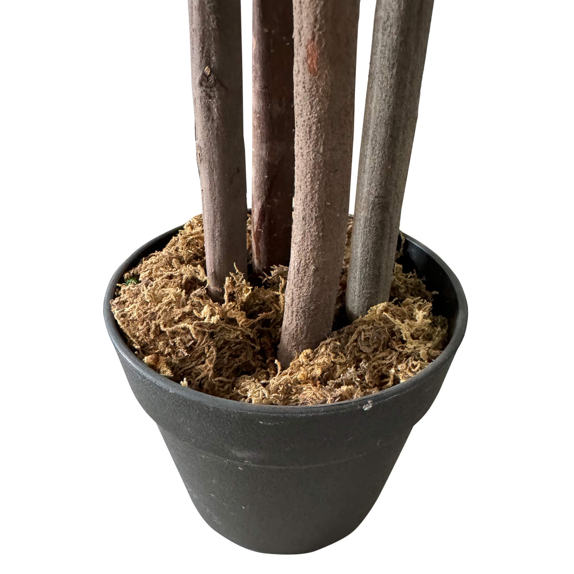 Planta artificial de Casia Rebecca Mobili Kori 145x40x40 PEVA Madera Verde Marrón - 5