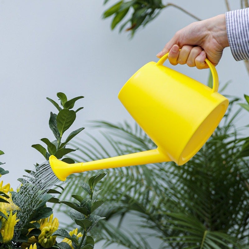 Outils jardinage, arrosoirs, arroseurs de jardin, distributeurs d'eau portables à long tube, convient aux plantes vertes d'intérieur 2pc(vert menthe) - 9