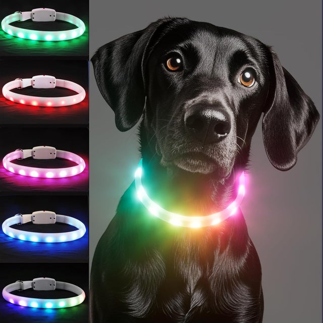 Collar recargable para perros, collar LED intermitente con 11 modos de seguridad ajustables para perros pequeños, medianos y grandes