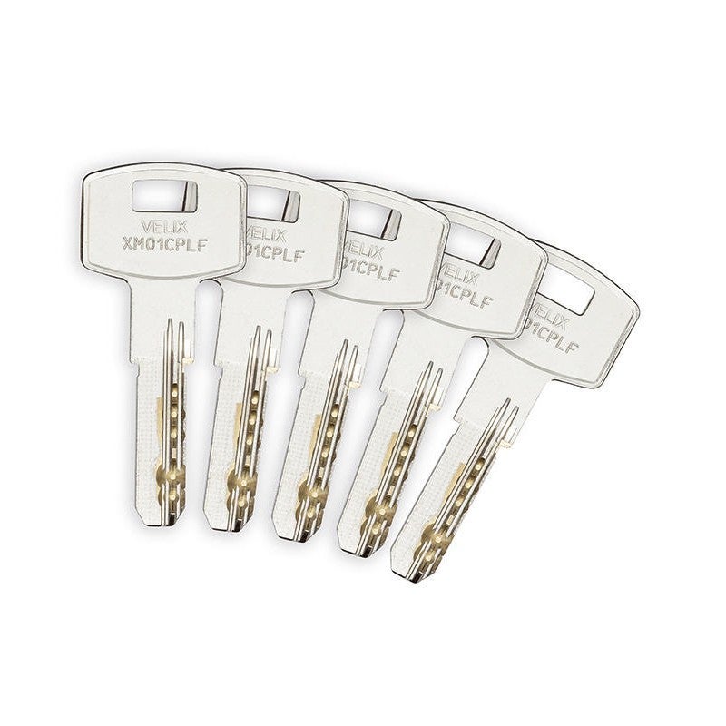 Cylindre à bouton 3111 velix 30x30 vachette + 5 clés réversible varié nickelé - 28035000 - 2