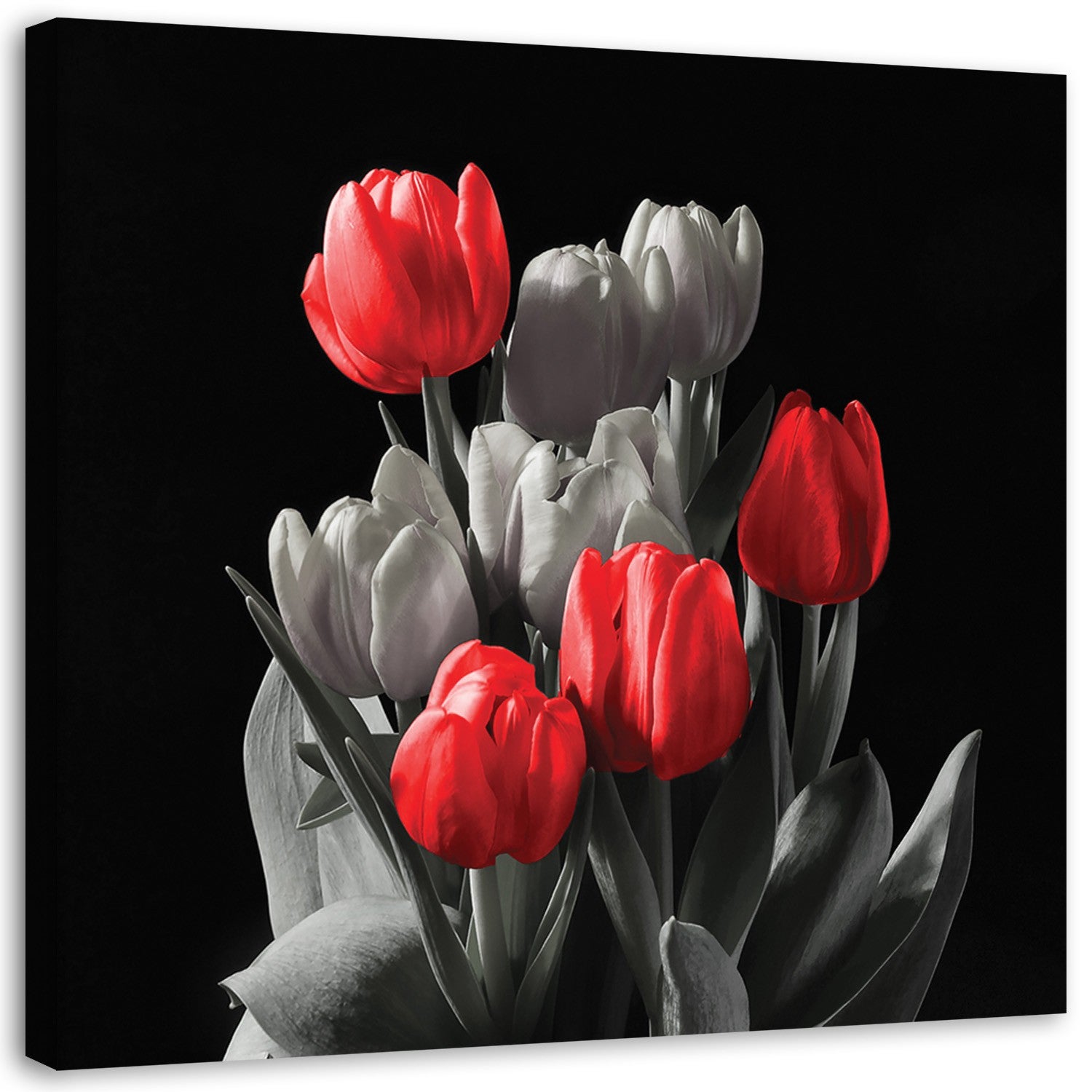 Obraz na płótnie, Bukiet czerwonych tulipanów 30x30