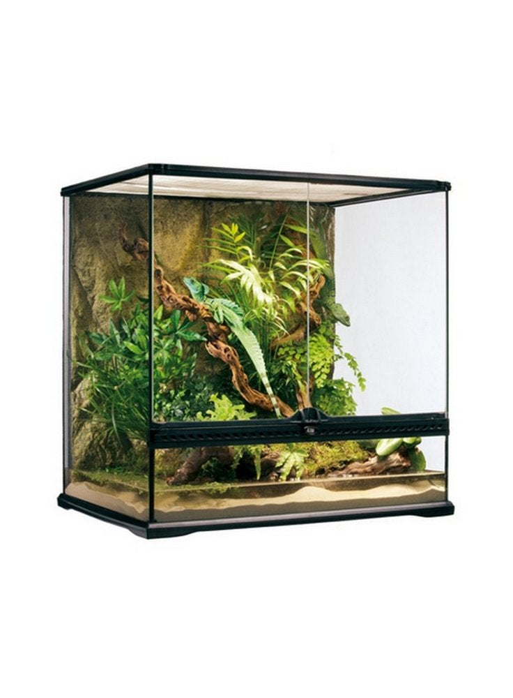 Glass terrarium exoterra 60x45x30h | Leroy Merlin