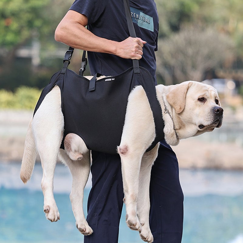 Arnês de suporte para cães - Arnês de elevação para reabilitação - 6