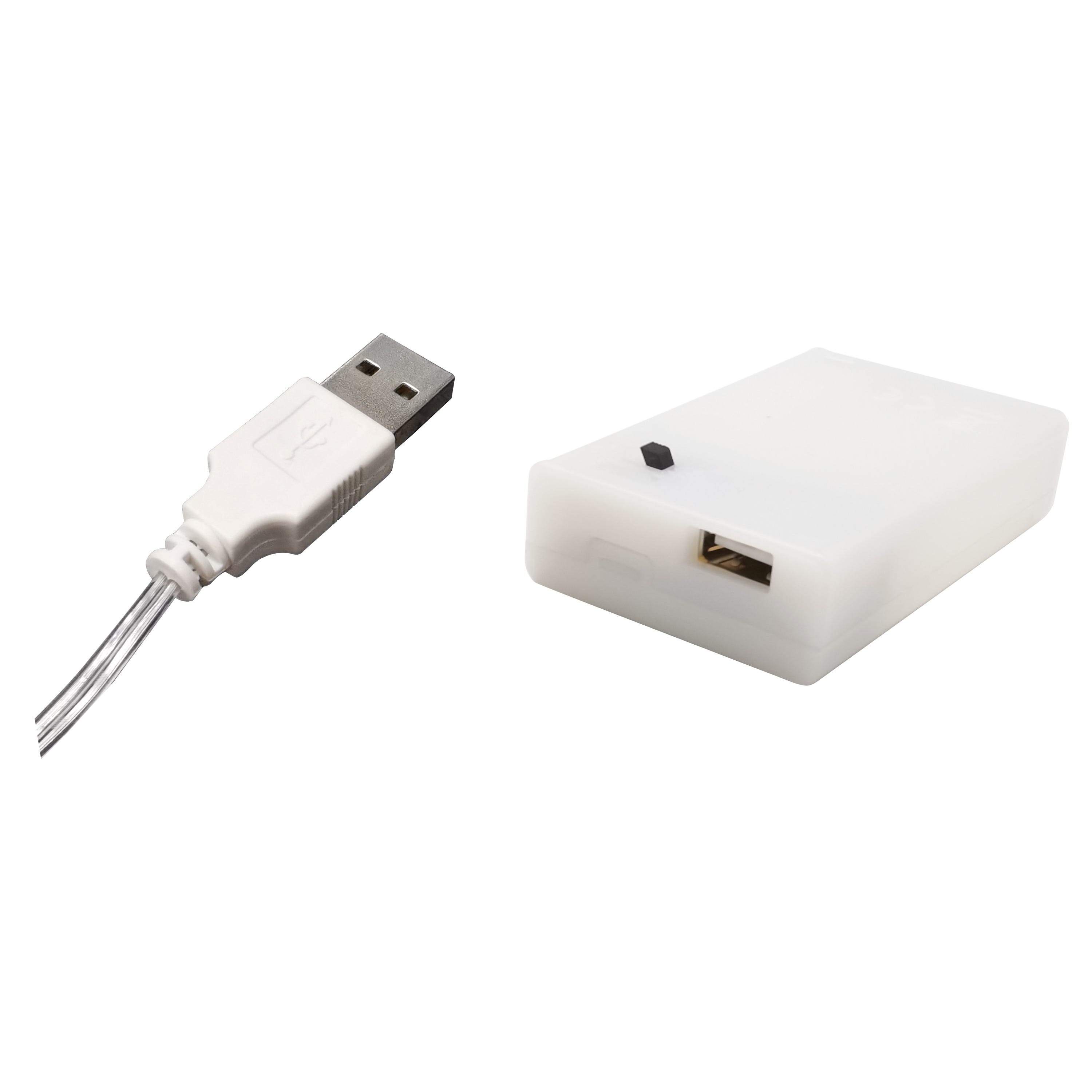 Ghirlanda LED TAKIA 10 lampadine a unicorno - Bianco - Luce calda 2700K - 290 cm - USB + batterie - 6