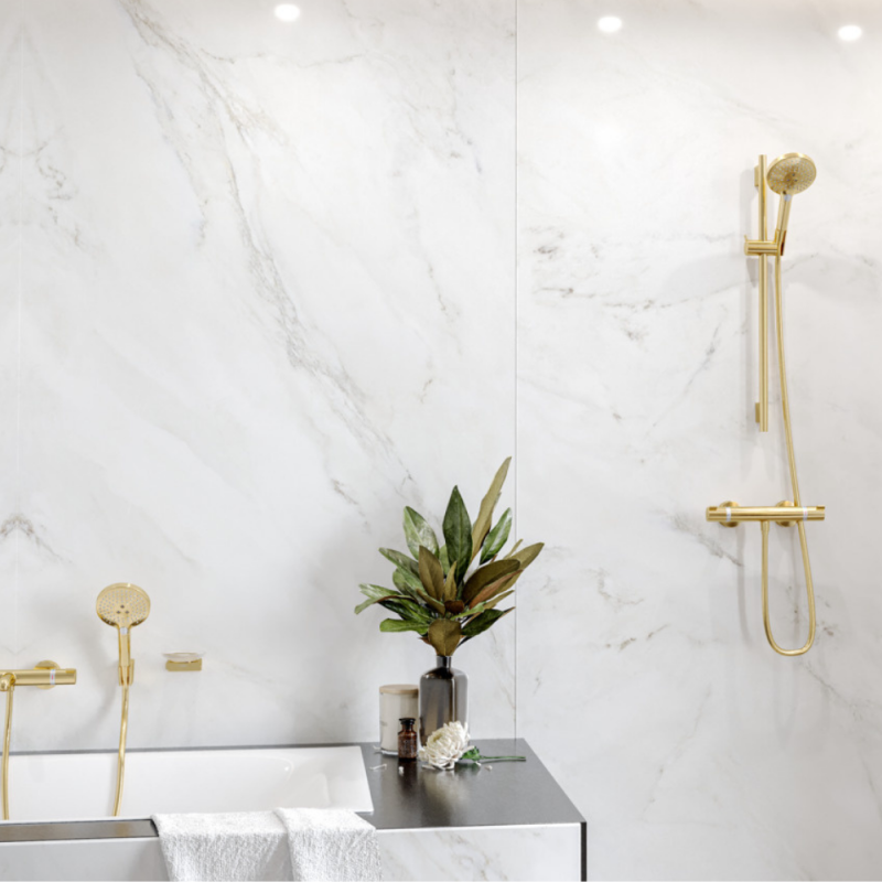 Pommeau de douche HANSGROHE Raindance Select S EcoSmart 120 3 jets + flexible HANSGROHE Designflex 160 cm doré poli - 5