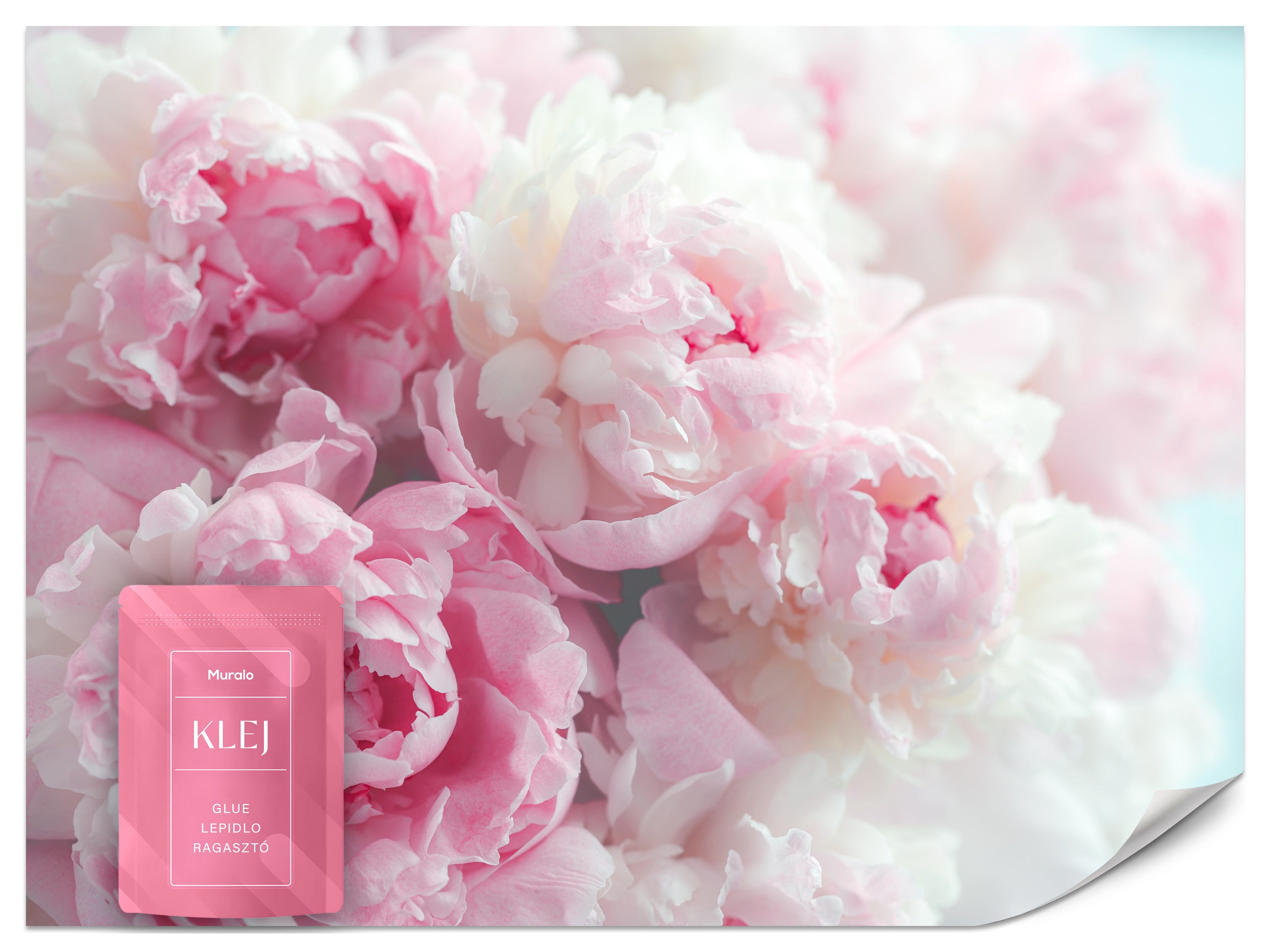 FOTOTAPETA DO SALONU SYPIALNI PIWONIE PEONIE KWIATY NATURA BOHO 3D 400x280