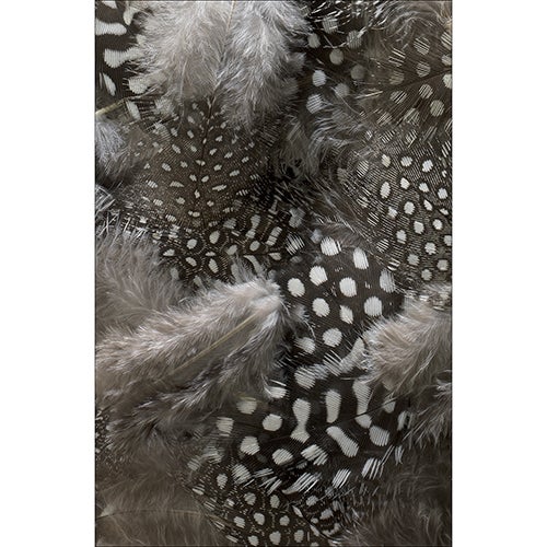 Calcomanía de refrigerador y lavavajillas, decora la comodidad del hogar, 75 cm x 49 cm