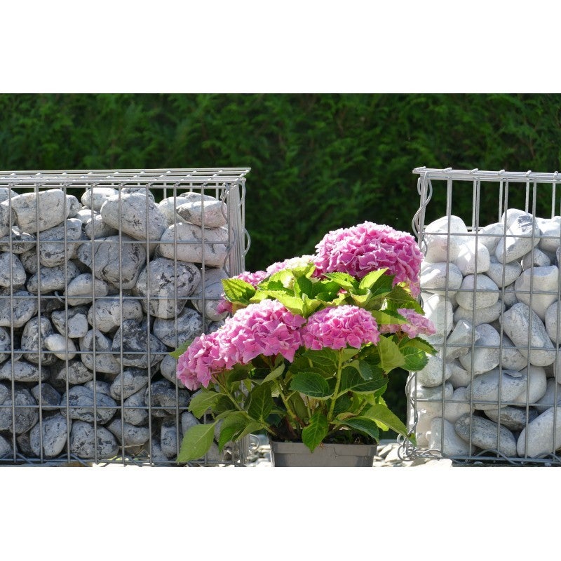 Galet Gris Clair 60-100 - 3