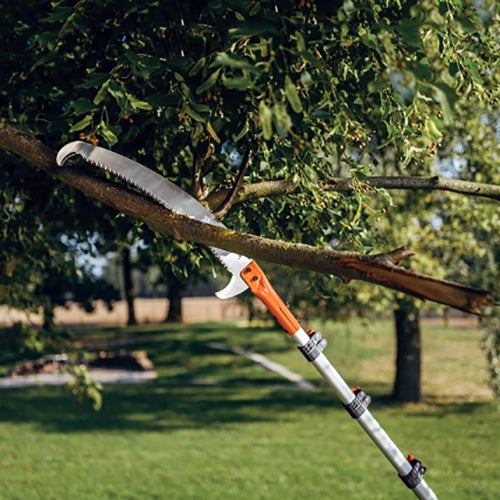 Scie d'élagage télescopique - Longueur 550 cm - 4