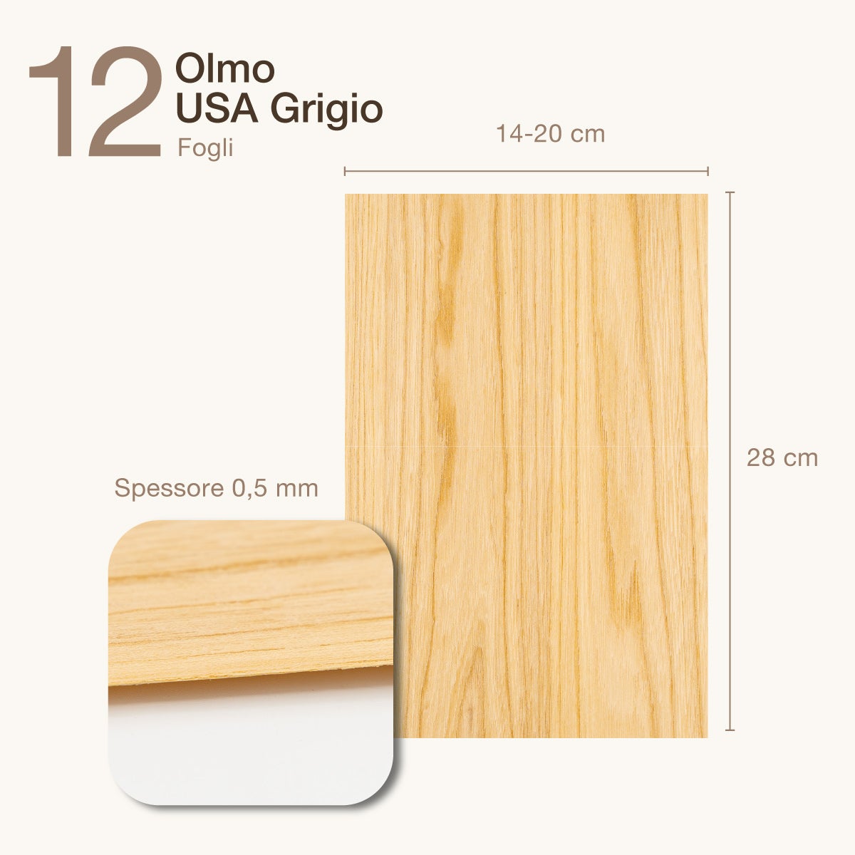 12 FOGLI DI IMPIALLACCIATURA IN LEGNO DI OLMO GRIGIO - 2