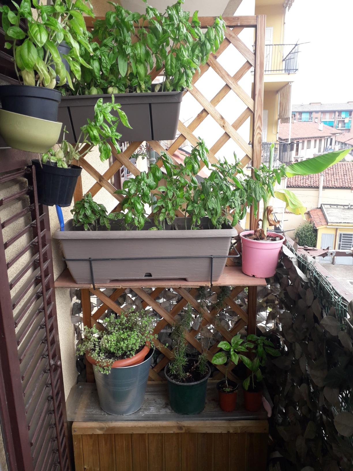 Fioriera in legno con pannello 180x90 cm grigliato a rombi e vaso portafiori da giardino Azalea - 4