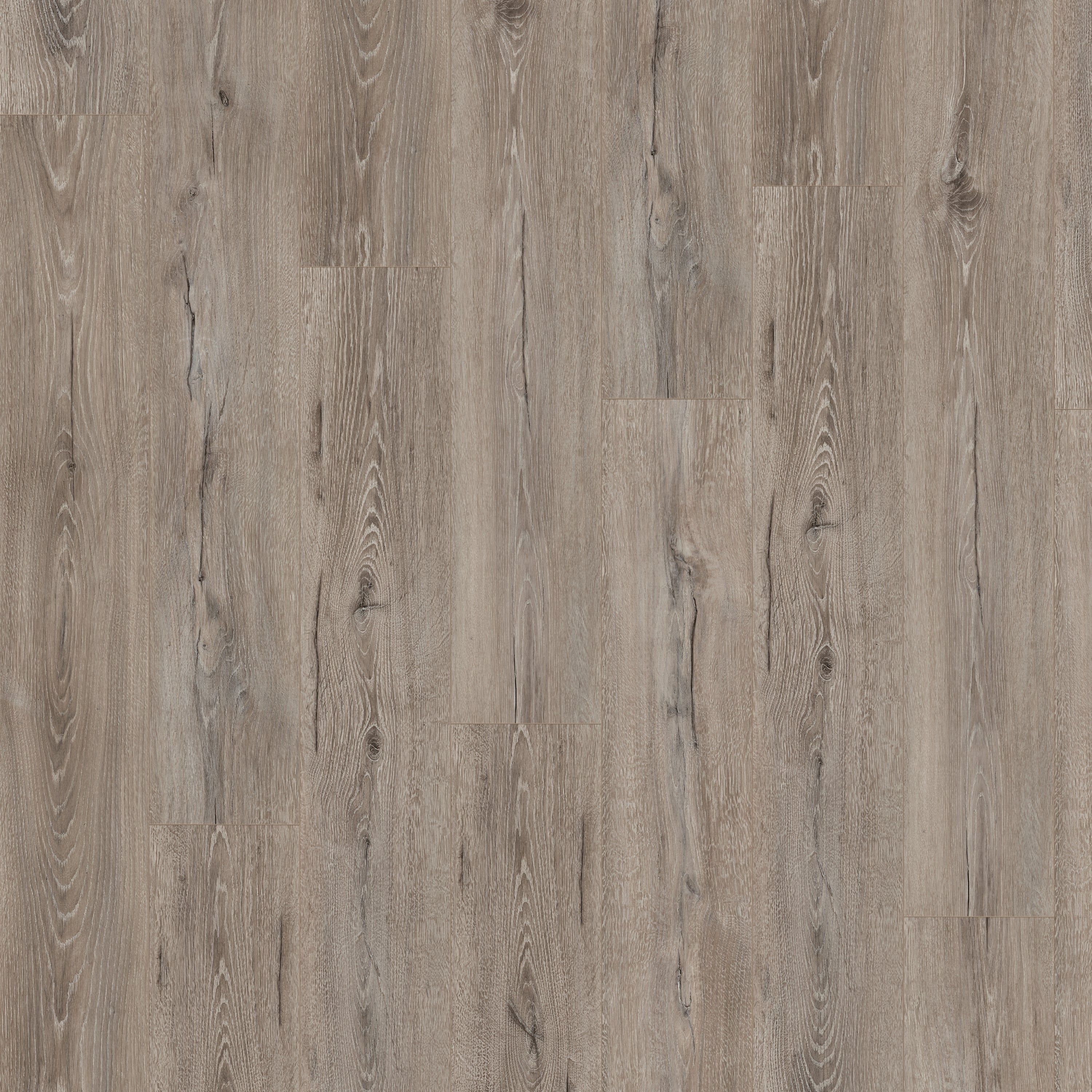 Pavimento laminato EGGER - Legno grigio - L.129,2 x l.19,3 cm - Sp.7 mm - 2,49 m² / 10 pezzi - 4
