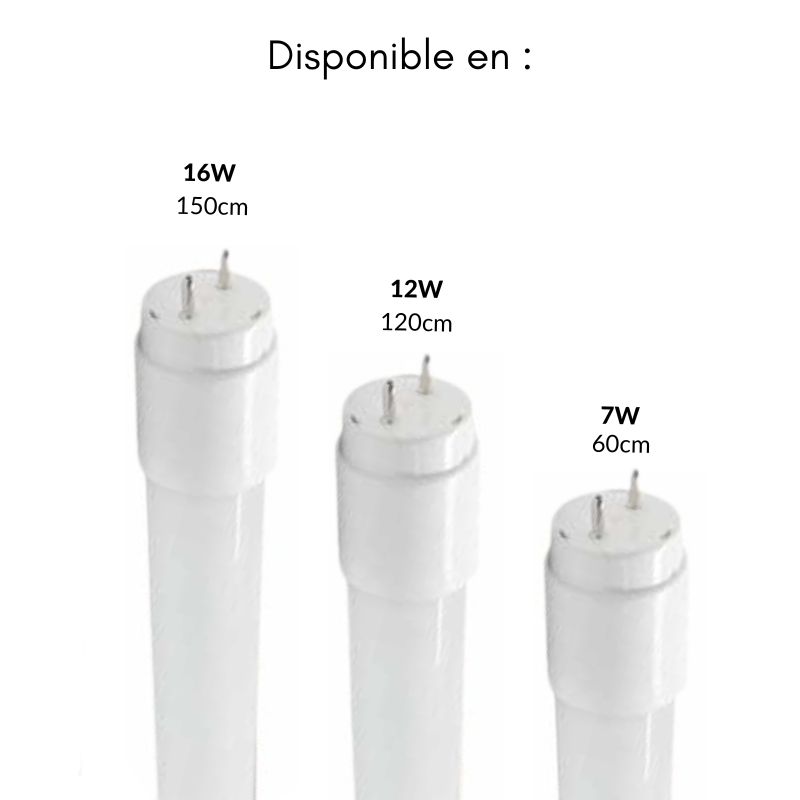 Tubo al neon LED 120cm T8 12W IP20 100lm/W - Bianco freddo 6000K - 8000K - SILAMP - 3