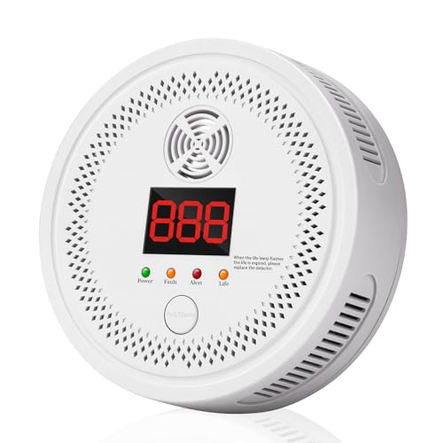 Détecteur De Monoxyde De Carbone Portable - Écran LCD 6,3 Cm, Affiche Aussi Température Et Humidité