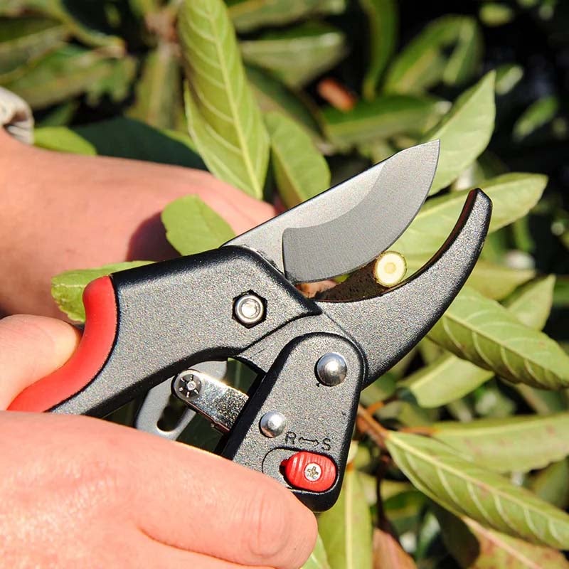 1pc Forbici da giardino SK5, taglio rami a cricchetto, lama affilata, strumento manuale per potatura alberi, giardinaggio e paesaggistica - 4
