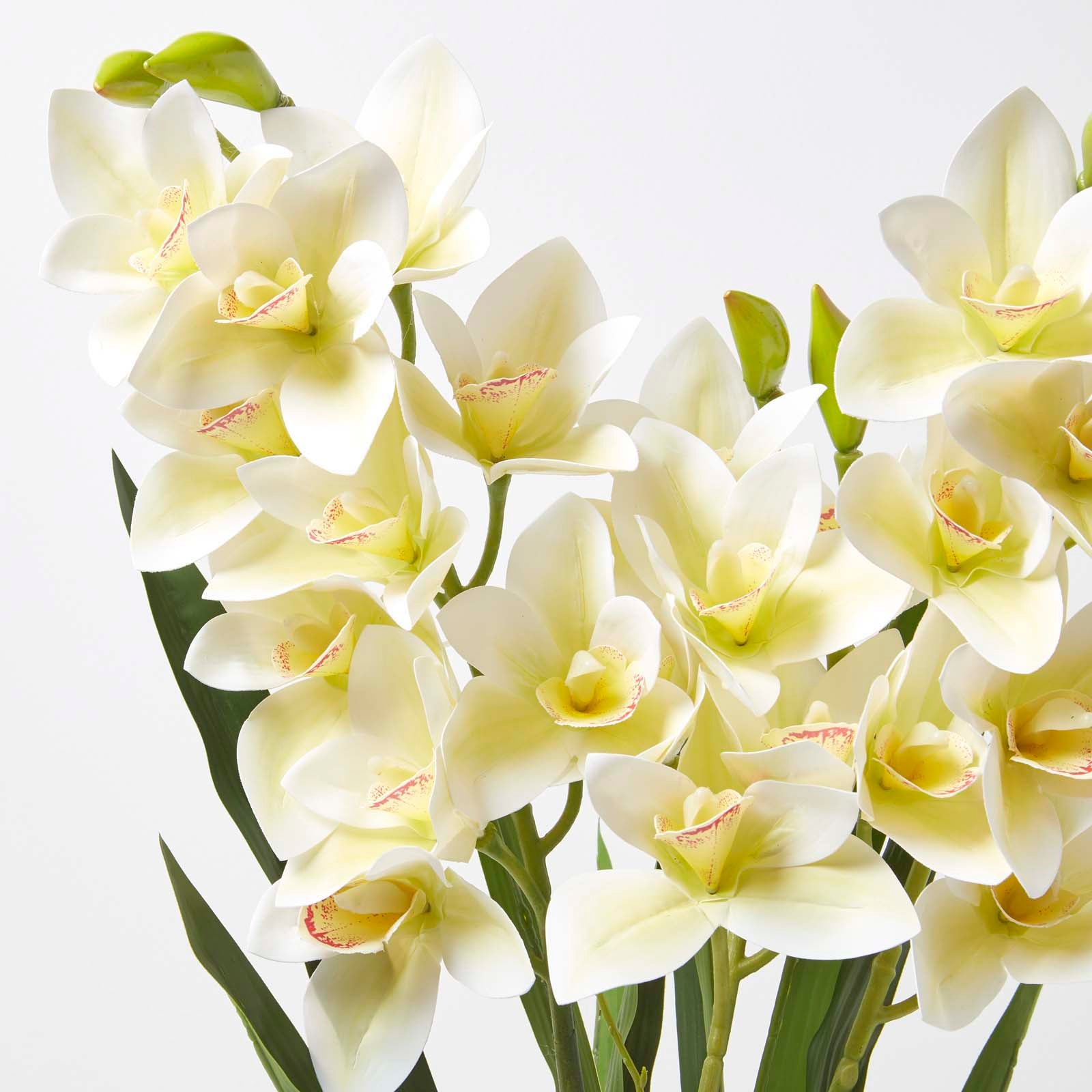 Homescapes Grande Orchidée artificielle jaune en pot foncé en ciment 82 cm - 5