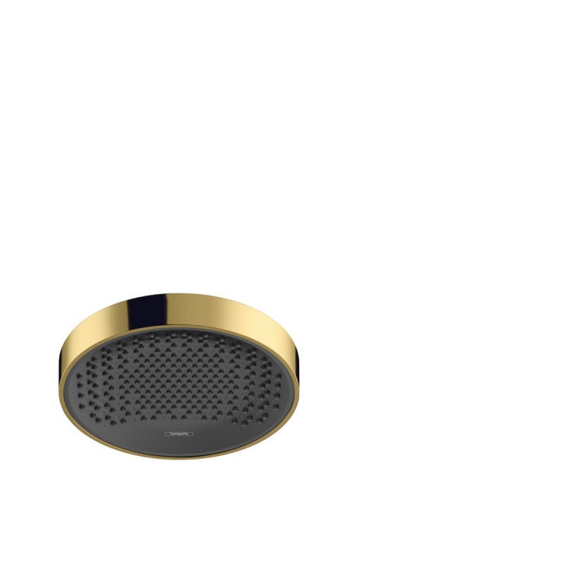 Ducha superior Rainfinity 250 1jet, Color: Óptica Oro Pulido | Leroy Merlin
