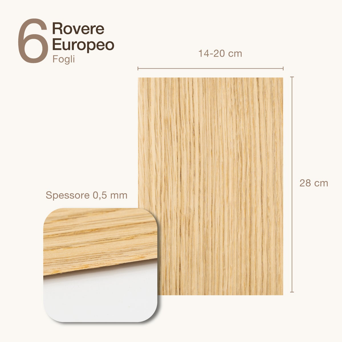 6 FOGLI DI IMPIALLACCIATURA IN LEGNO DI ROVERE EUROPEO - 2