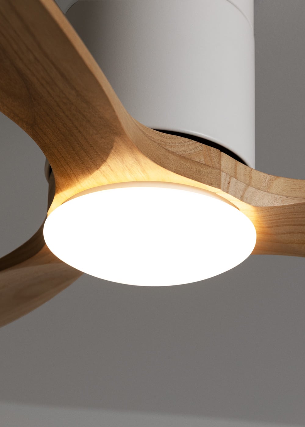CREATE - WIND CALM SLIM LIGHT M - Ventilateur de plafond silencieux 40W Ø132 cm 100 % bois avec eclaraige sans wifi - 3