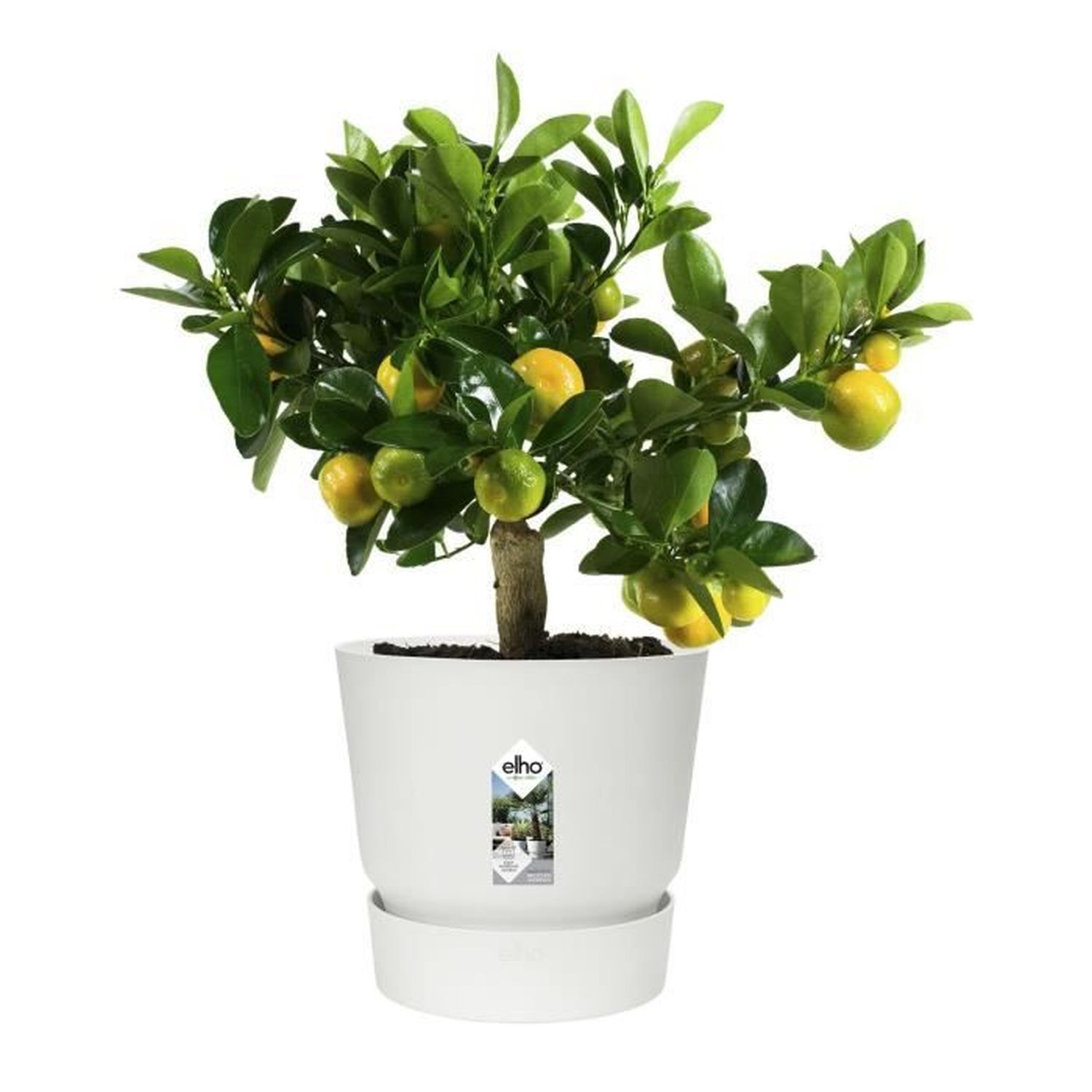 Vaso di fiori esterni rotondi Ø 24 x altezza 23 cm bianco - 4