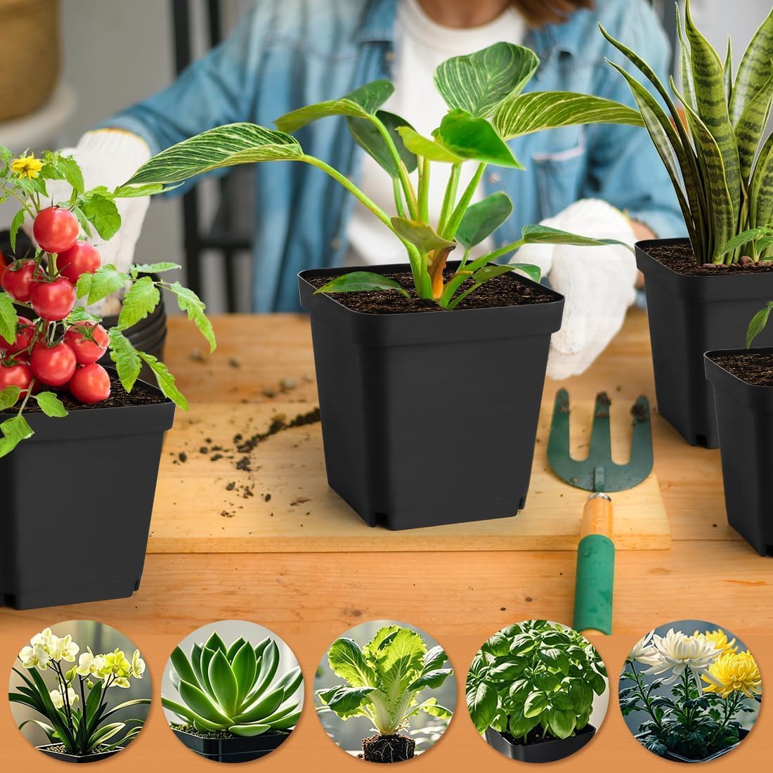 Lot de 50 pots de fleurs carrés en plastique noir de 5,5 cm pour plantes succulentes, semis, boutures, repiquage - 4