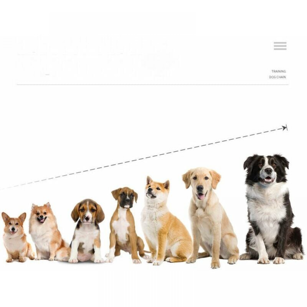 Collar para perros impermeable y recargable, alcance de 800 m, descarga eléctrica, sonido, negro - 4