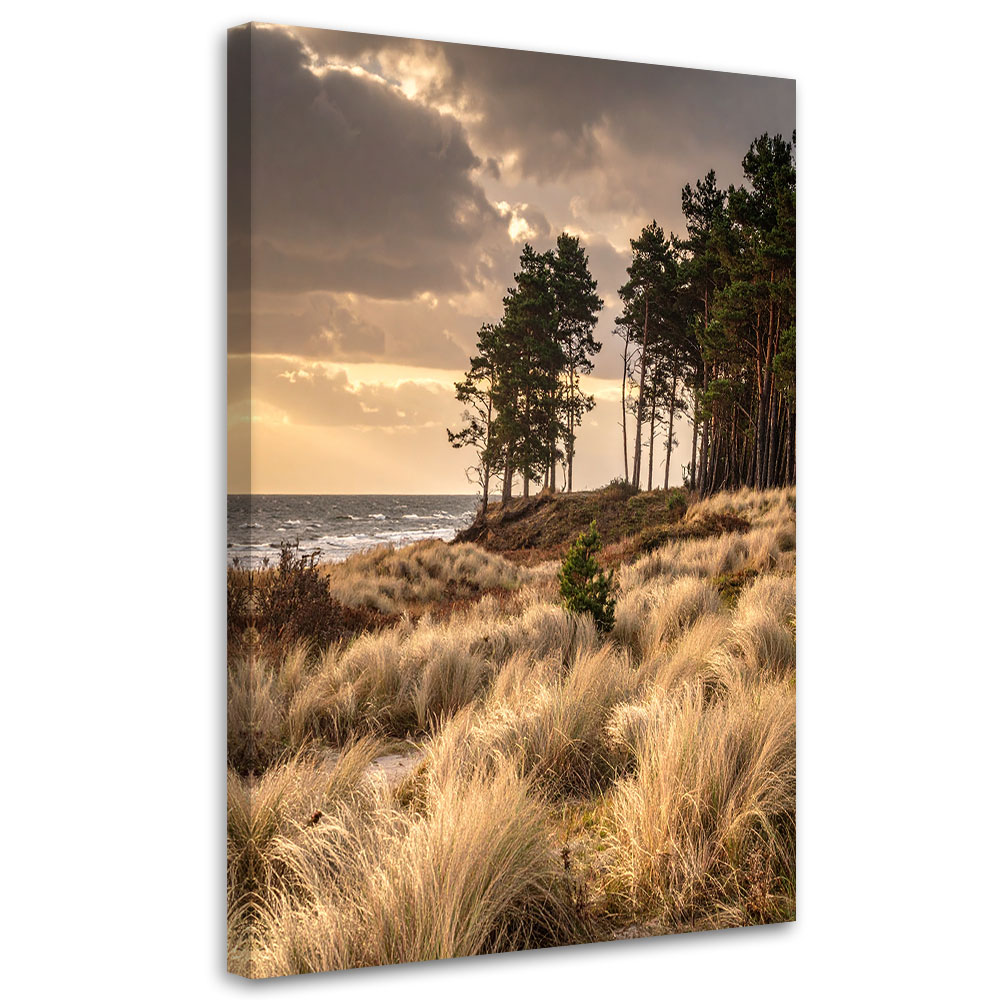 Obraz do salonu sypialni biura loftu, Widok Plaża Wydmy i Morze imitacja farby 40x60