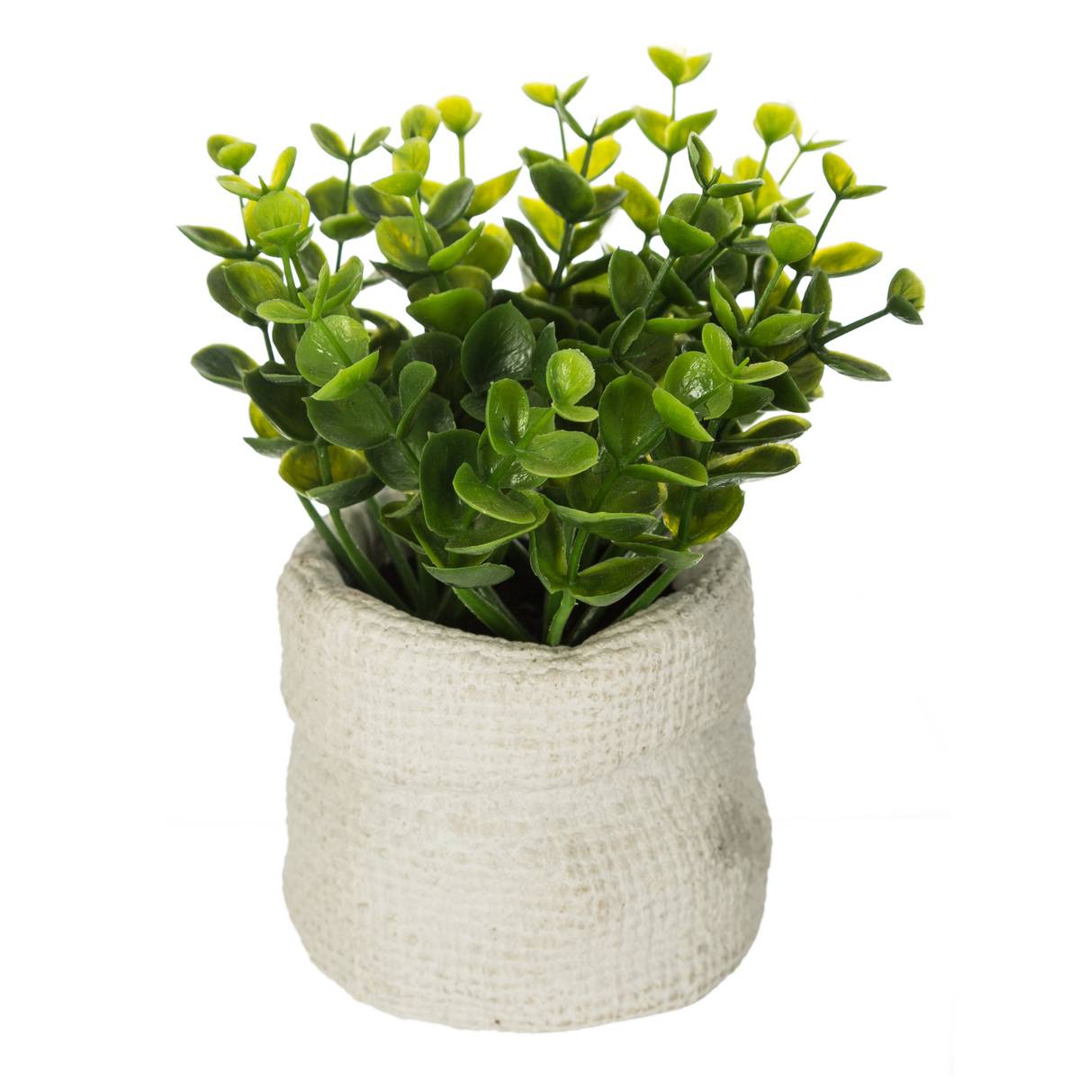 Plante Artificielle Pot Ciment H14cm Multicolore - Atmosphera Créateur d'intérieur - 4