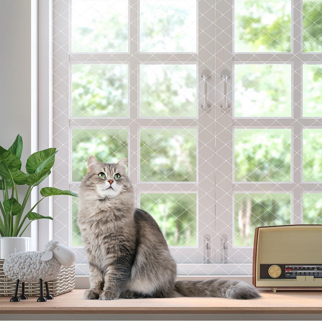Rede antiqueda para gatos 8x3 m transparente, proteção de varanda resistente ao tempo, montagem rápida - 5