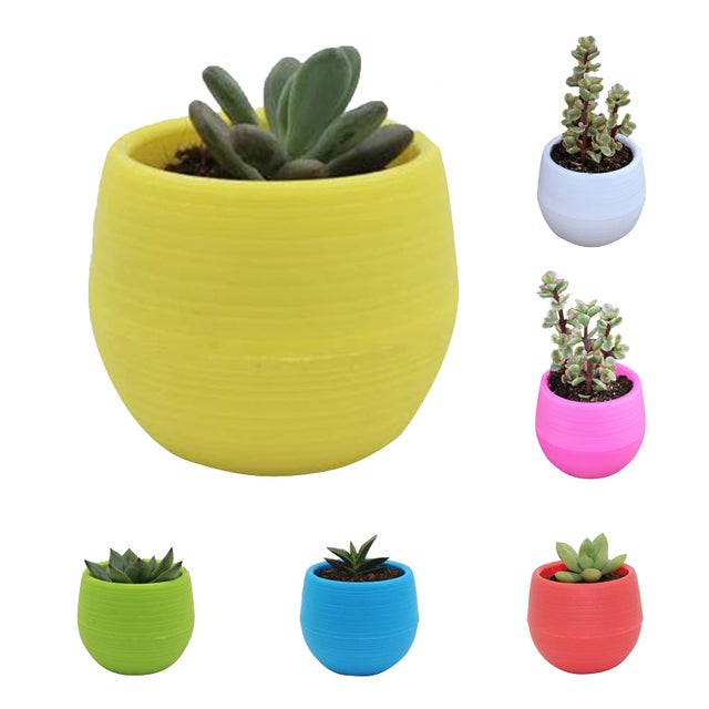 The HC Companies Fioriere Per Piante Grasse - Colore Cipria, Plastica Effetto Ceramica, 7,6 Cm - Confezione Da 20, Con Foro Di Drenaggio - 2
