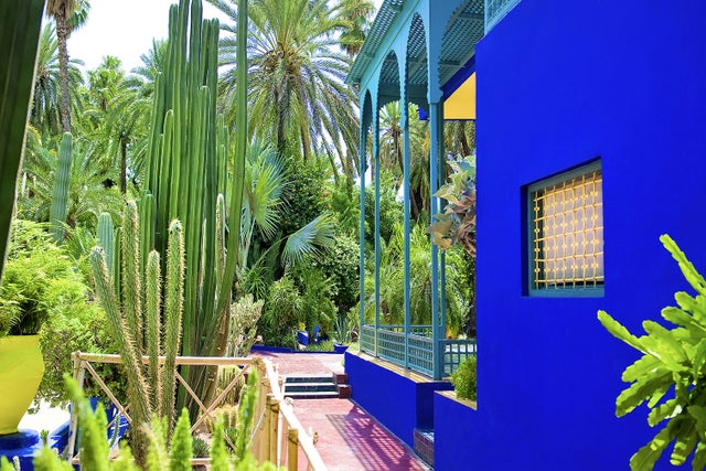 Affiche Art Jardin Majorelle Marrakech - Poster LPX Illustration Format 50x70 Cm Imprimé En France