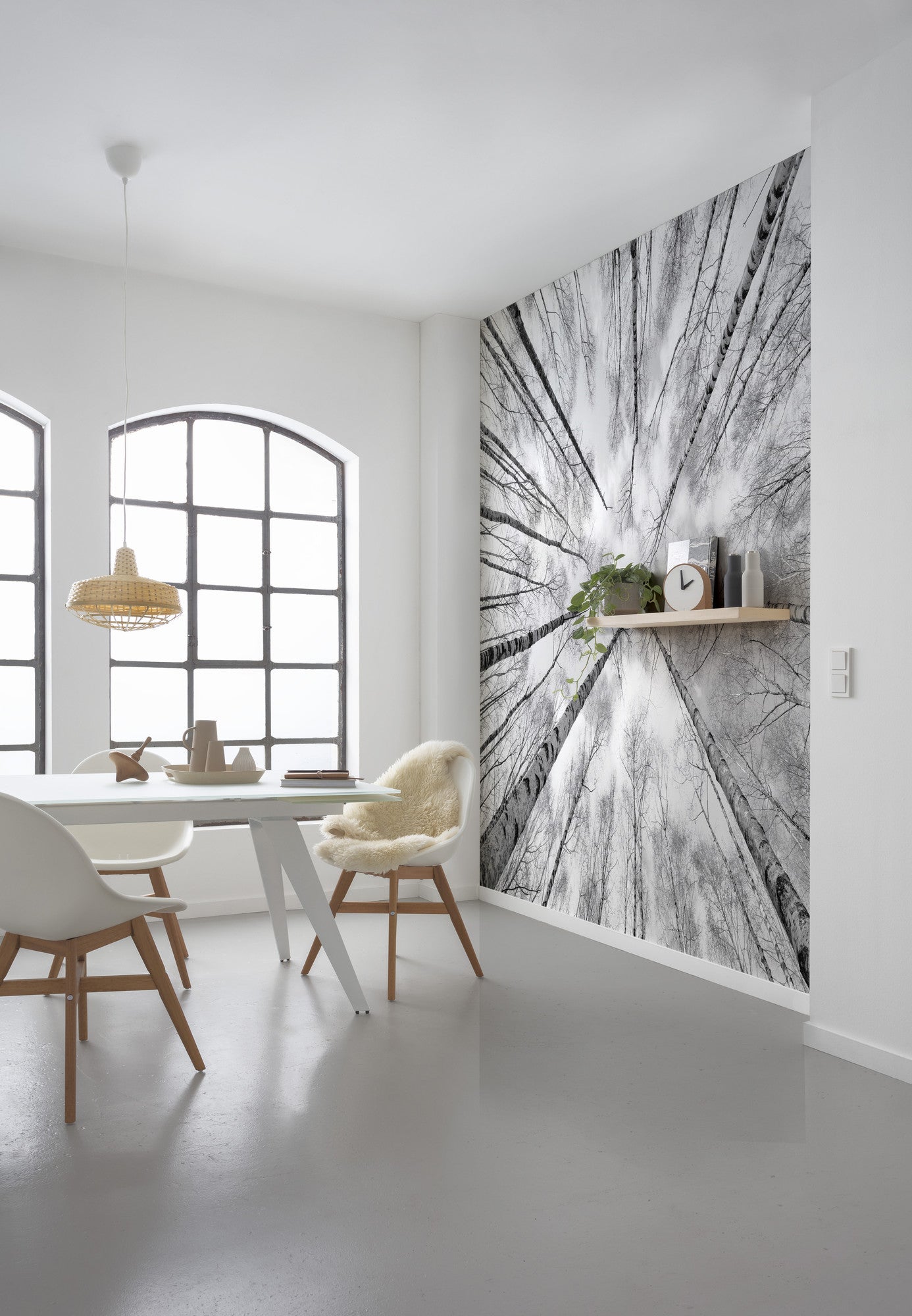 Fototapeta las czarno-białym - 450 x 280 cm - SANDERS &amp; SANDERS