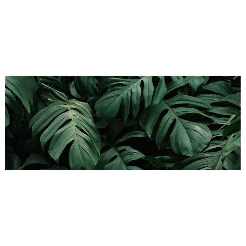 Brise vue feuillage vert CROISSANCE VEGETALE, 500 x 200 cm (LXH), 100% occultant, Made in France par Scenolia + colliers de fixation offerts - 2