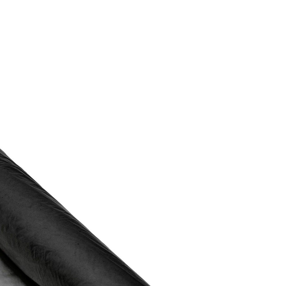 Bâche noire 300µ multiusage WERKA PRO 1 x 10m - 4