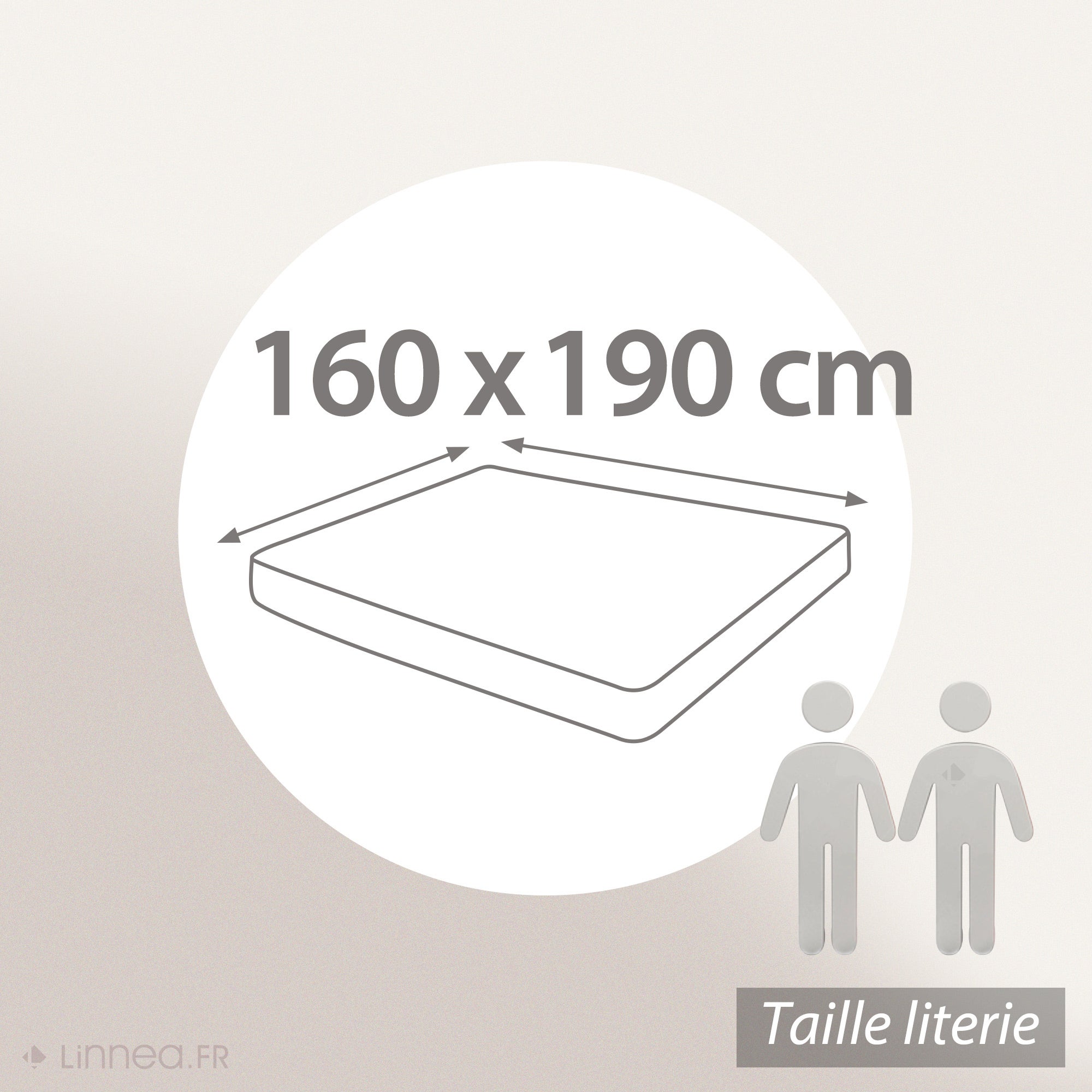 Drap housse uni 160x190 cm bonnet 30 cm coton ALTO Crème - 6