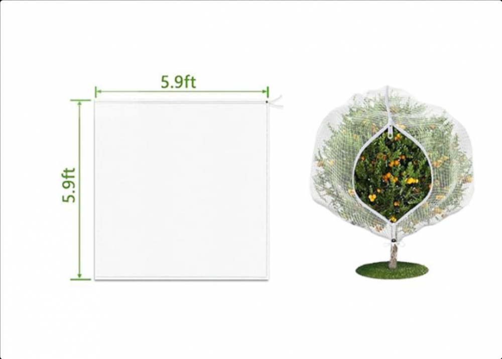 Acheter Grand sac en filet pour arbres fruitiers, couverture en maille anti-insectes avec fermeture éclair, conception à cordon respirant, sac en filet de jardin facile à utiliser