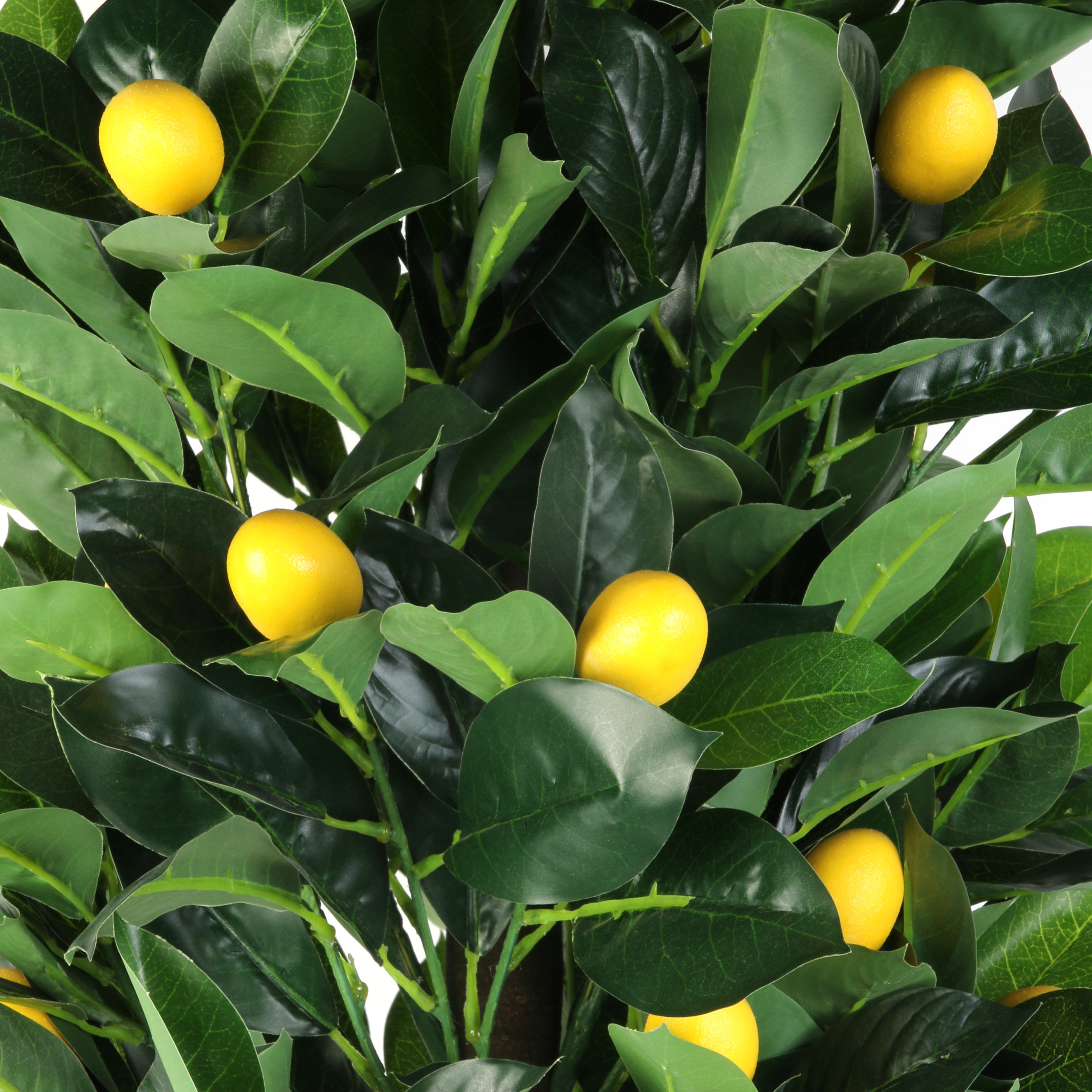 Plante Artificielle - Home Deco Factory - Citronnier - Vert Et Jaune - 2