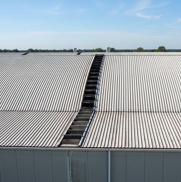 Echelle souple en caoutchouc 1.60 x 0.40m - Avec raidisseur - 320501-320503