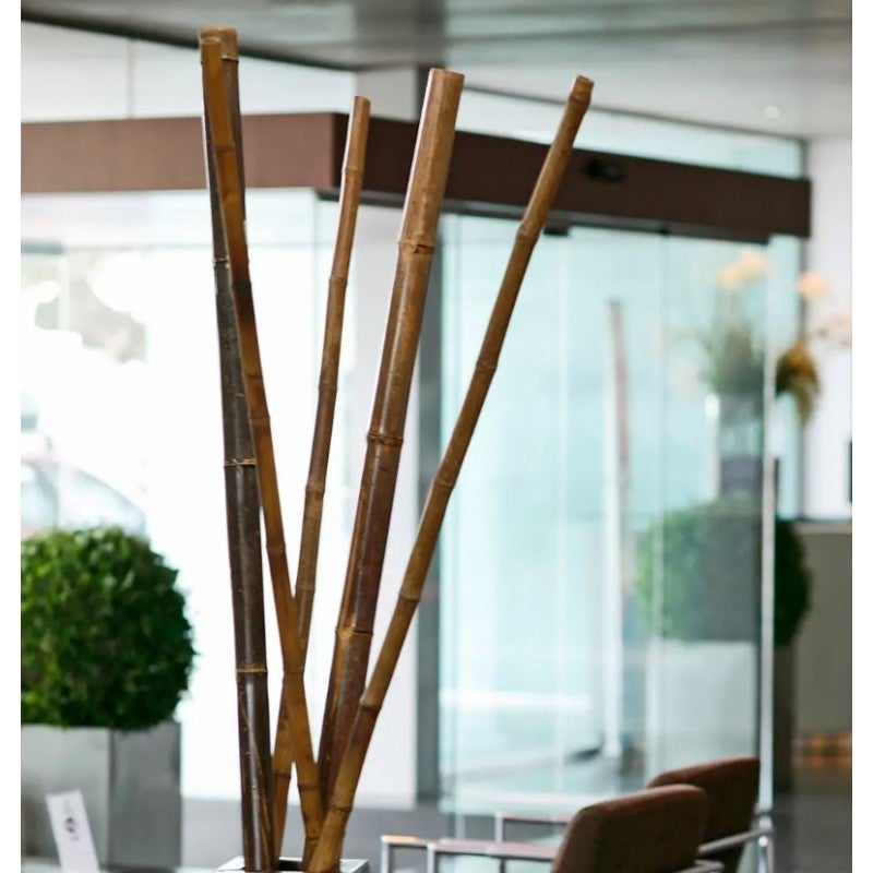 Tutor de bambu Decorativo 180 cm, 30/40mm, Tutores Redondos, Postes de Madera, Estaca para Jardin, separacion de ambientes - 7