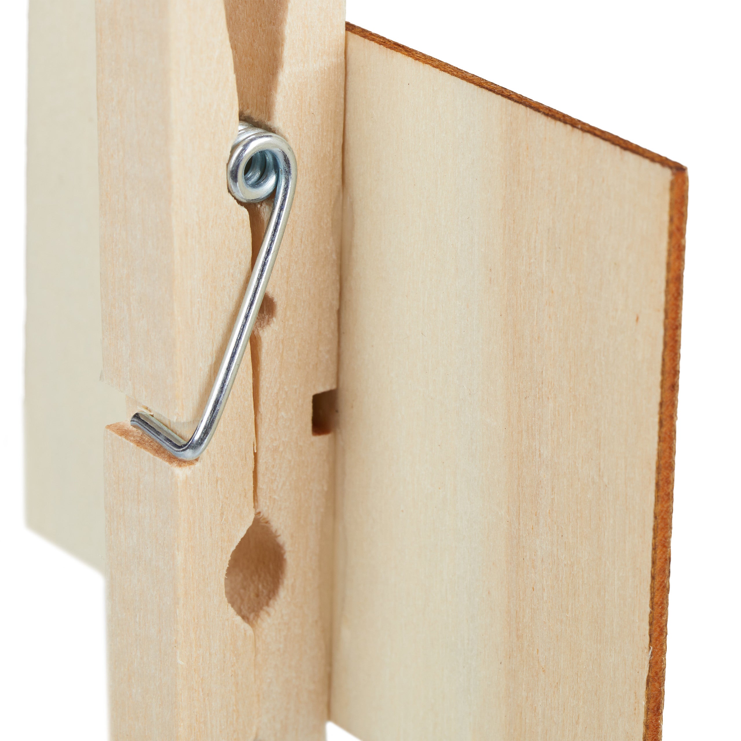 Pincettes pour tableau, jeu de 40, pour identifier plantes, réutilisables, avec craies, en bois, nature/noir - 6