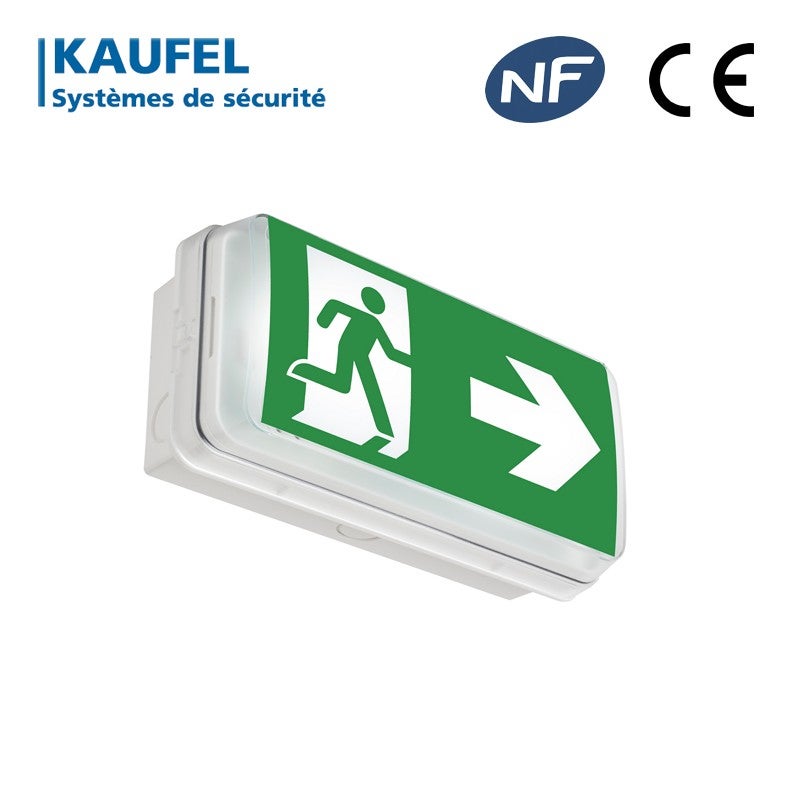Bloc PRIMOEVO et 60 incandescence 45lm NP évacuation saillie KAUFEL 103161K - 2