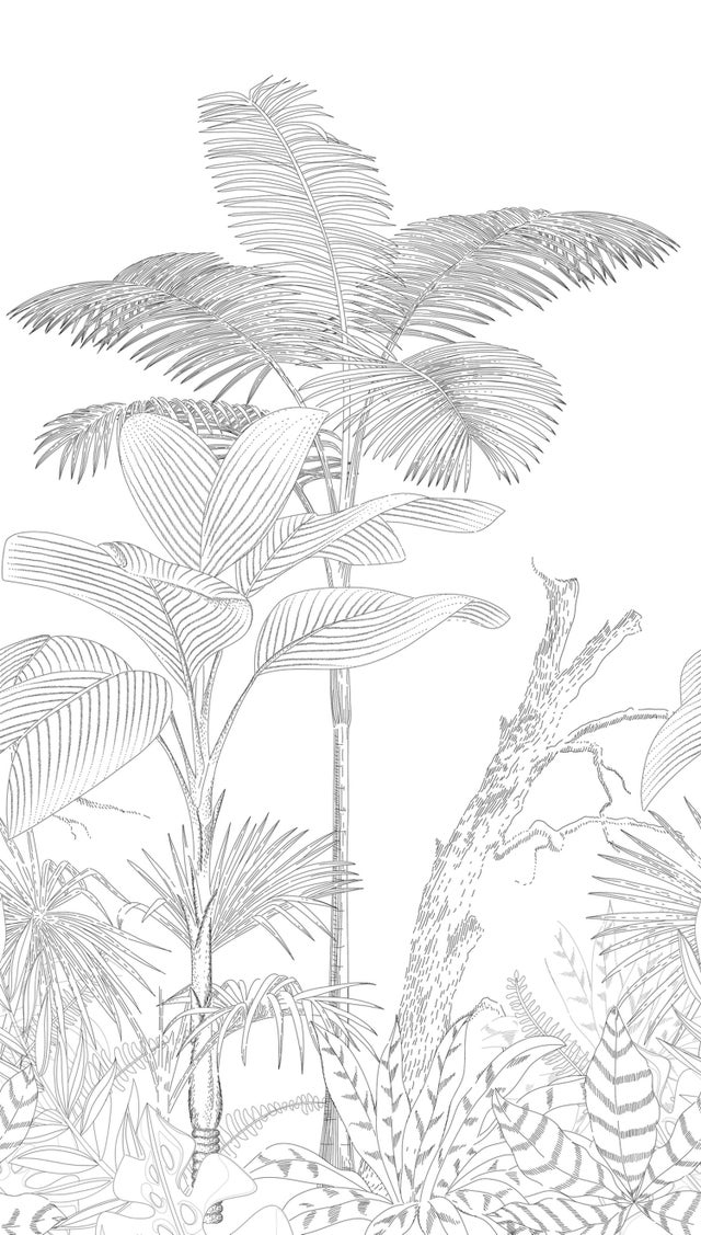 Papier peint panoramique feuilles tropicales noir et blanc - 159 x 280 cm - Livingwalls