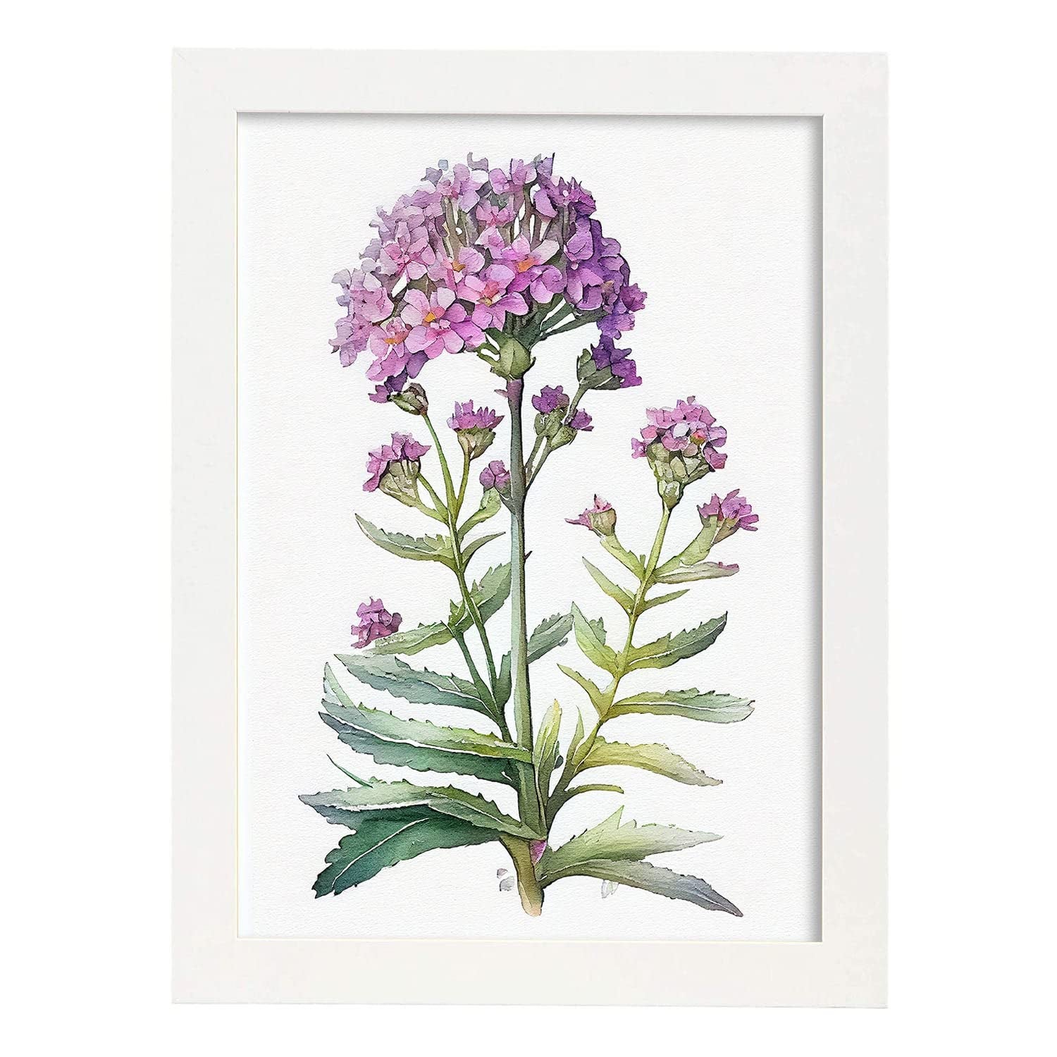 Nacnic poster de verbena estilo nórdico ilustraciones de botánica con flores y plantas en acuarela diseño moderno y modelo 1 a3 con marco blancos