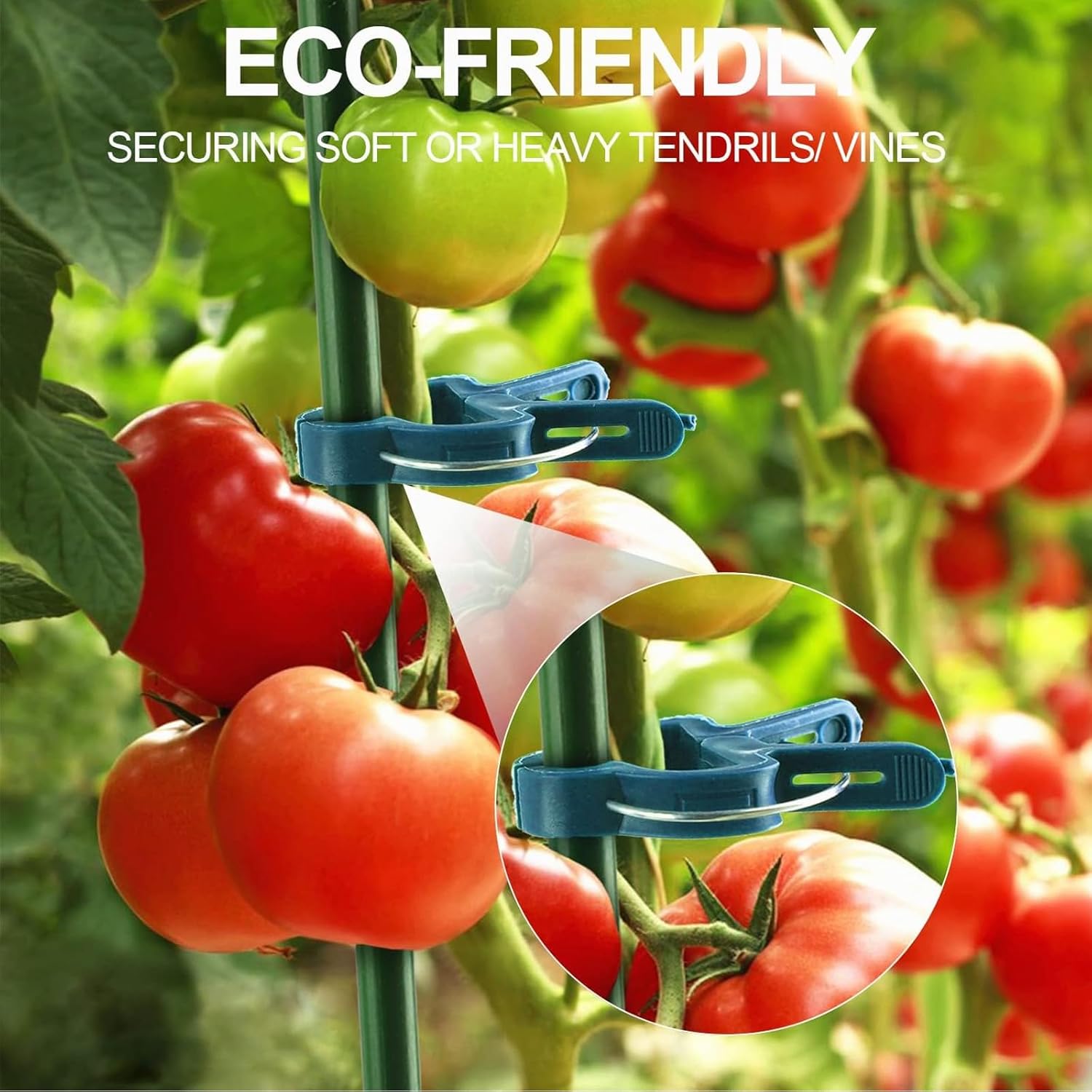 40 Pièces Attache Tomates Reutilisable,Clips de Support pour Plantes,Applicable à Jardins Intérieurs ou Extérieurs,Treillis(Grand) - 4