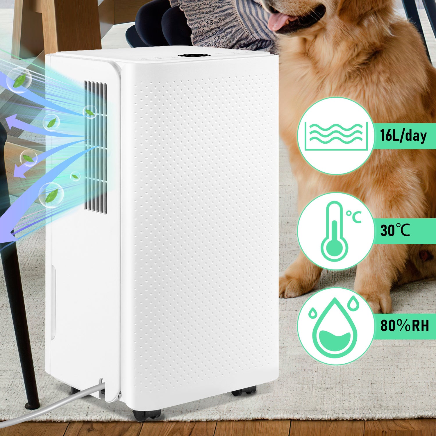 Osuszacz powietrza 16 l/dzień 20 m² -25 m², timer 24h, łazienka wewnętrzna, zbiornik 2 l