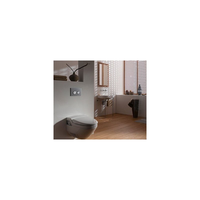 Plaque de commande - Geberit - Sigma20 - Double touche - Acier inoxydable - 5
