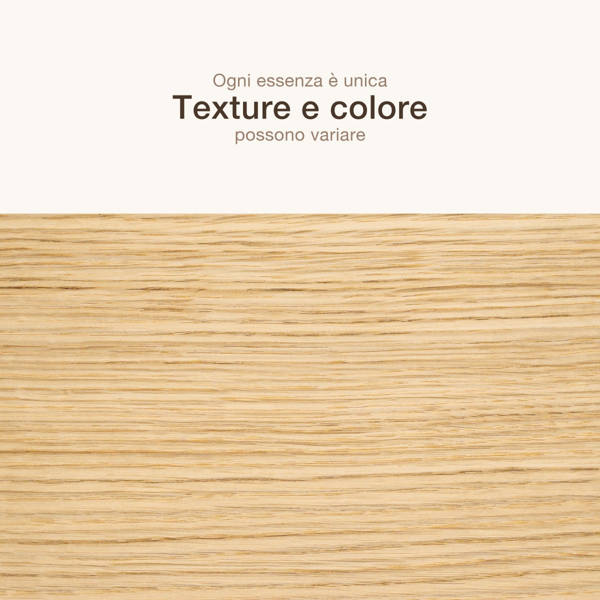 6 FOGLI DI IMPIALLACCIATURA IN LEGNO DI ROVERE EUROPEO - 4