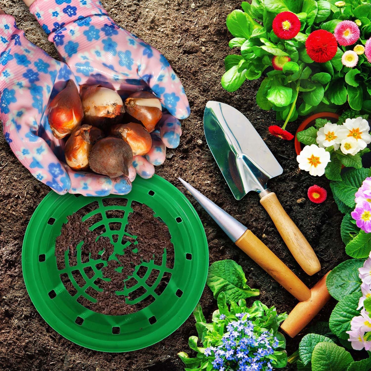 Koszyk do Sadzenia Cebulek - ⌀ 200 mm - Kosz do Uprawy Roślin Cebulowych - Koszyczek do Tulipanów KOTARBAU - 7